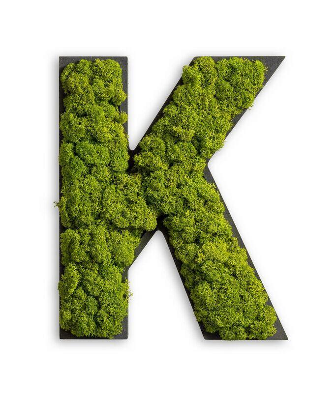 Moosbild Grün B: 26 cm - Schwarz/Grün, Basics, Naturmaterialien/Holz (26/20/4cm)