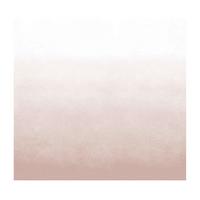 Fototapete Degrade Soft Clay - Rosa, Trend, Papier/Kunststoff (300/300cm)