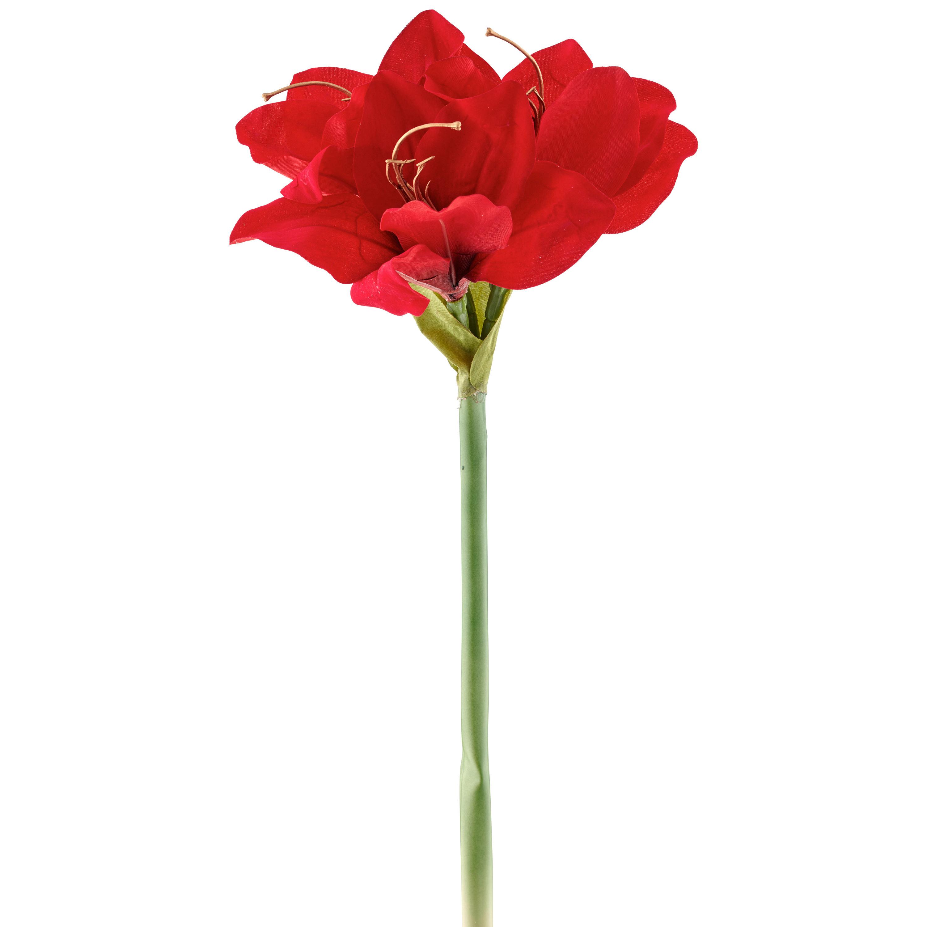 Műnövény Amaryllis - piros/zöld, Basics, műanyag (50cm)