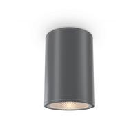 Außendeckenleuchte Bar - Graphitfarben, Trend, Metall (10,8/15,5cm) - MAYTONI