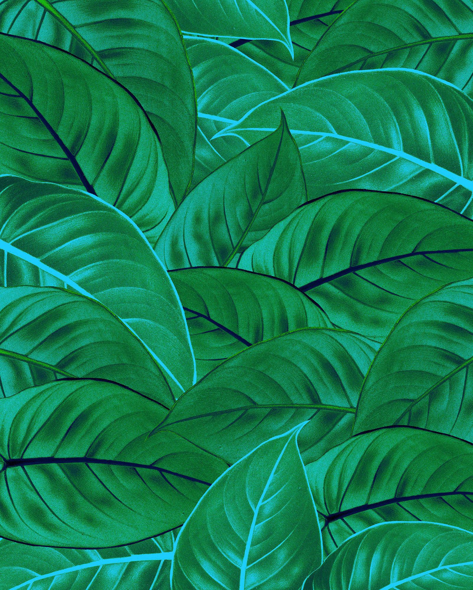 Vliestapete Jungle Leaves - Grün, Basics (200/250cm) - Komar