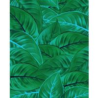 Vliestapete Jungle Leaves - Grün, Basics (200/250cm) - Komar
