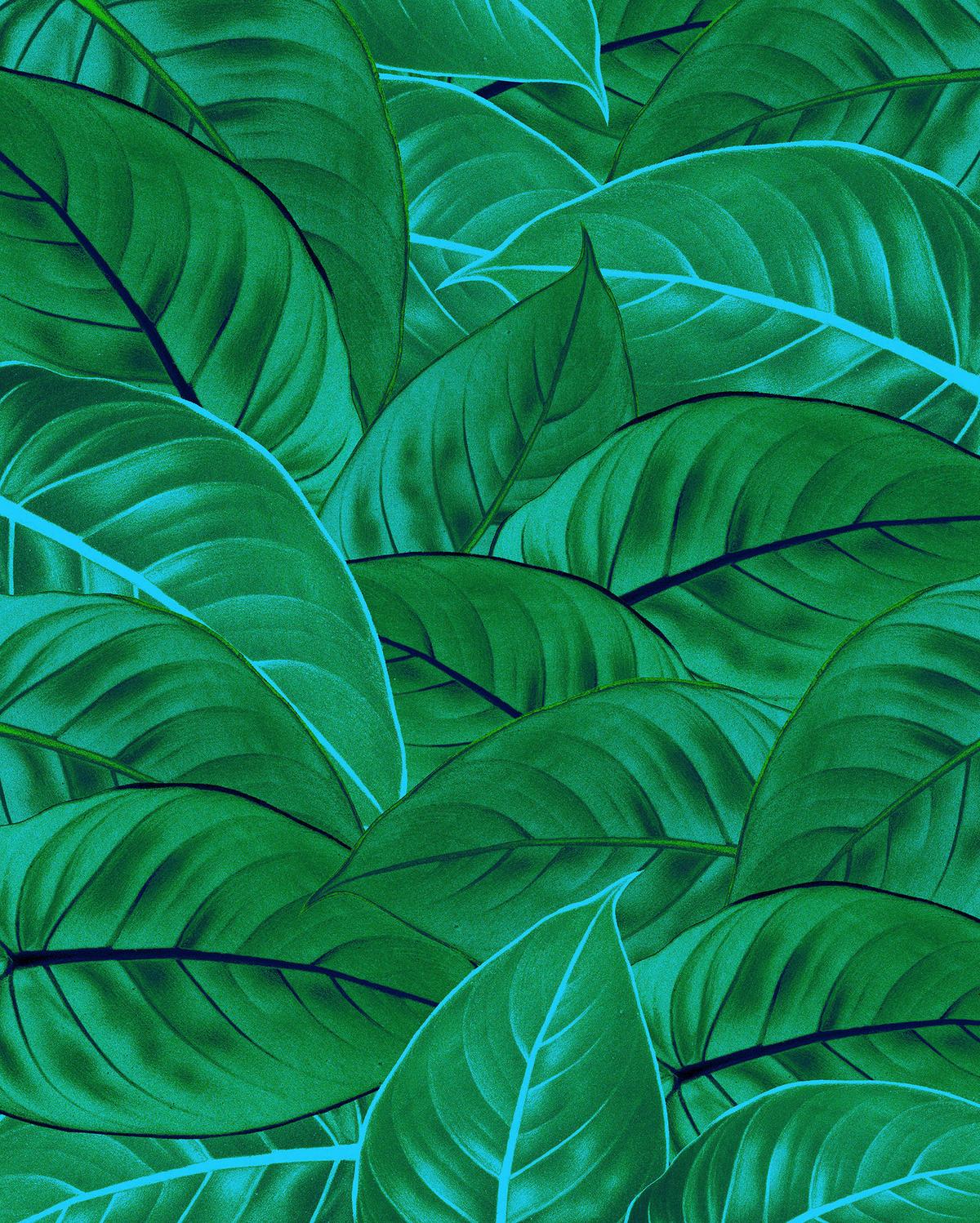 Vliestapete Jungle Leaves - Grün, Basics (200/250cm) - Komar