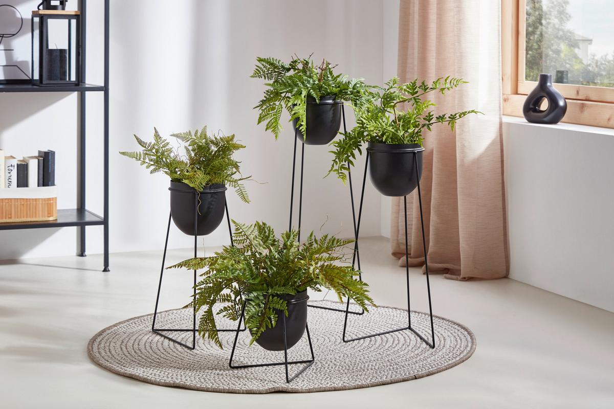 Dekoračná rastlina Farn, V: 40cm - zelená, Basics, plast (22cm) - Modern Living