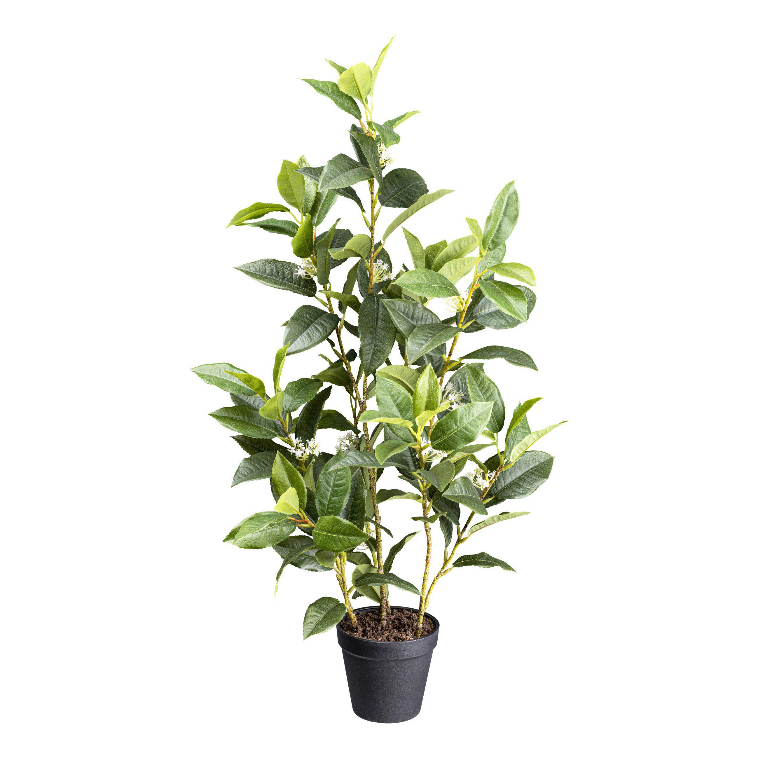 Kunstpflanze Duftblüten H: 65 cm - Schwarz/Braun, Design, Kunststoff (65cm) - P & B