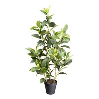 Kunstpflanze Duftblüten H: 65 cm - Schwarz/Braun, Design, Kunststoff (65cm) - P & B