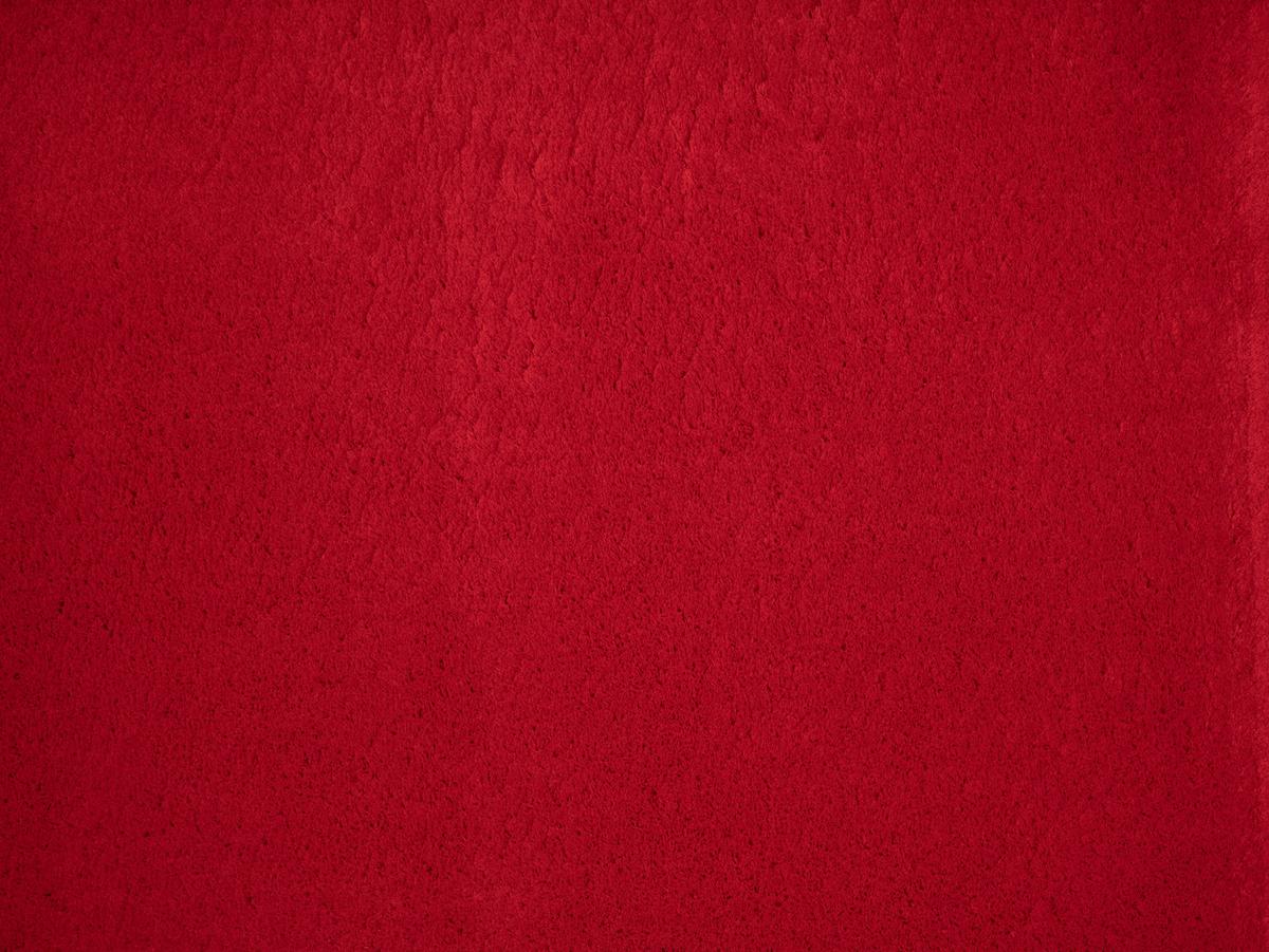 Fellteppich Loft - Rot, KONVENTIONELL, Textil (240/340cm)