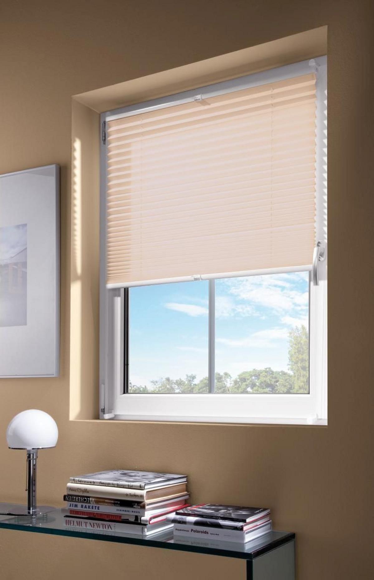 Plissee Free Sandfarben B: 100 Cm - Sandfarben, Basics, Textil (100/130cm) - Homeware