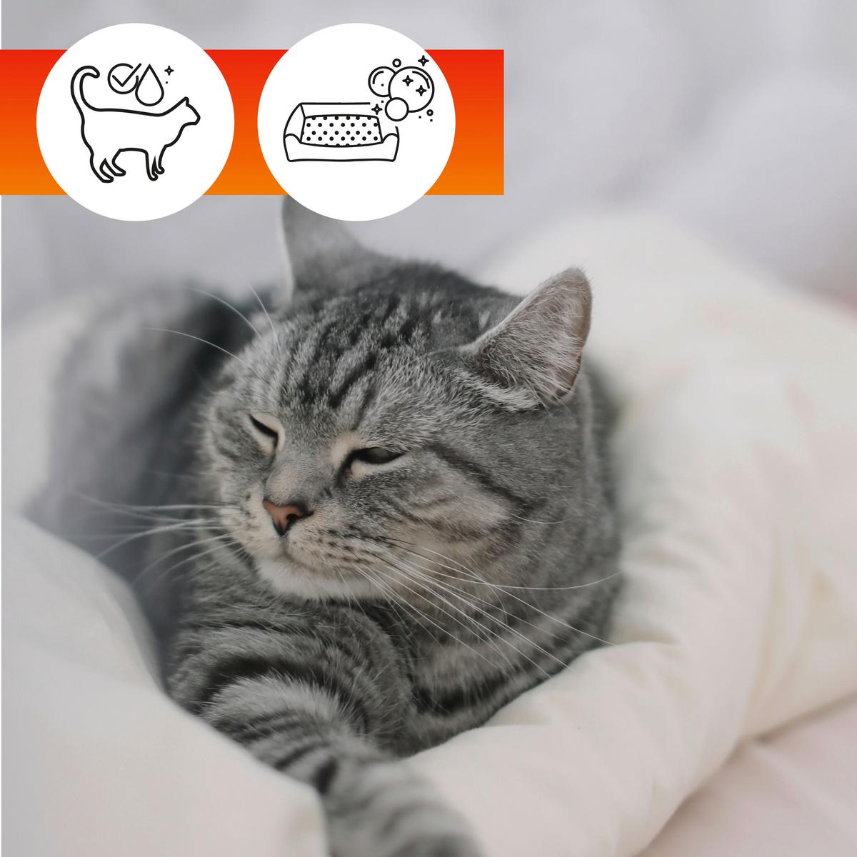 Stoffschutz Oa Pets Set Oa Pets - Basics, Kunststoff (22,5/18,5/8,5cm)