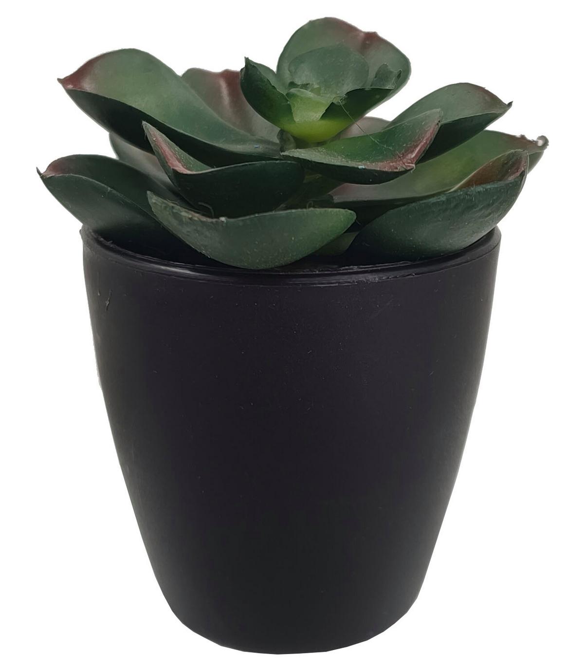 Kunstpflanze Isabella - Weiß/Grün, MODERN, Kunststoff (8/9-16cm) - Luca Bessoni