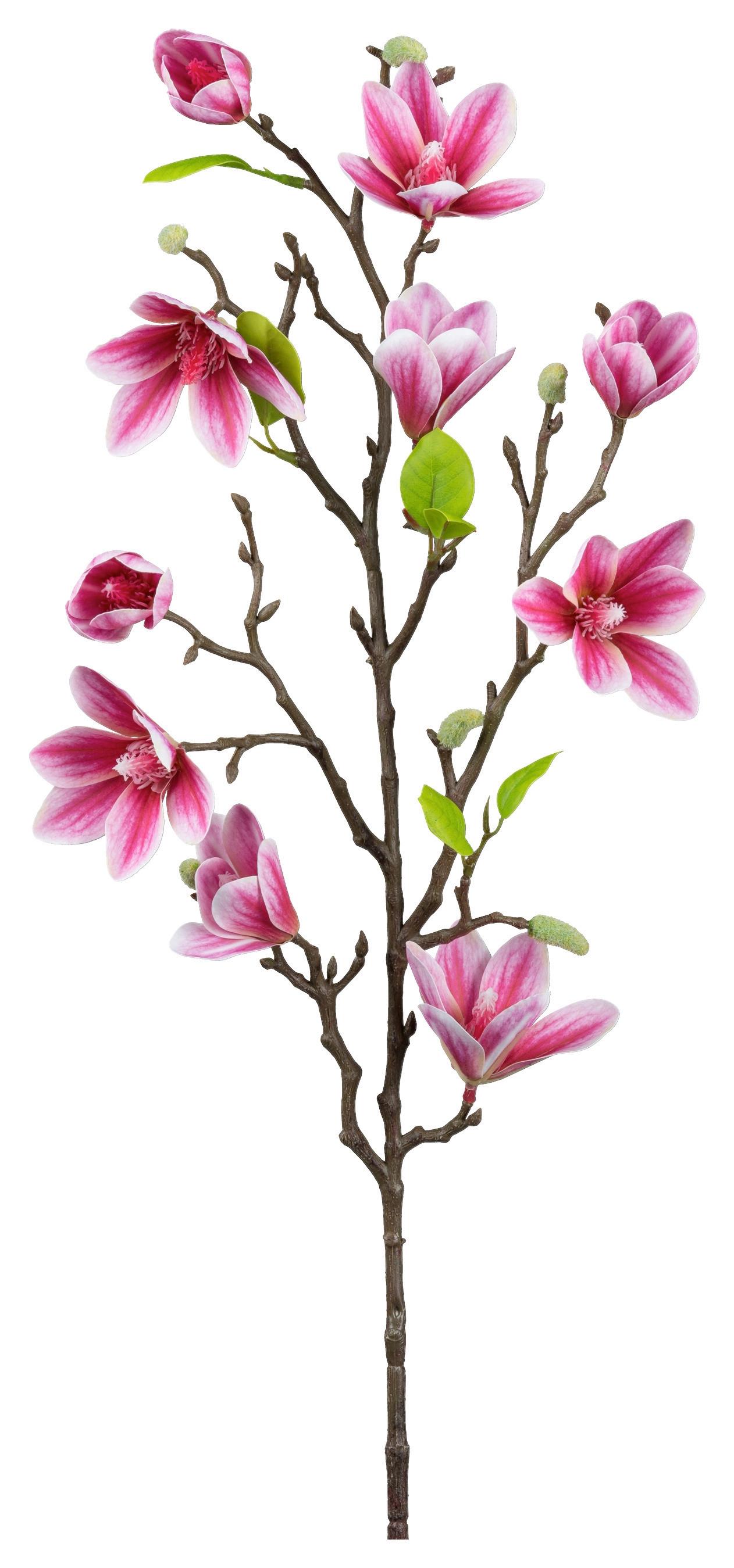 Umelá magnólia Výška 83cm - hnedá/pink, Basics, kov/textil (83cm) - Mömax