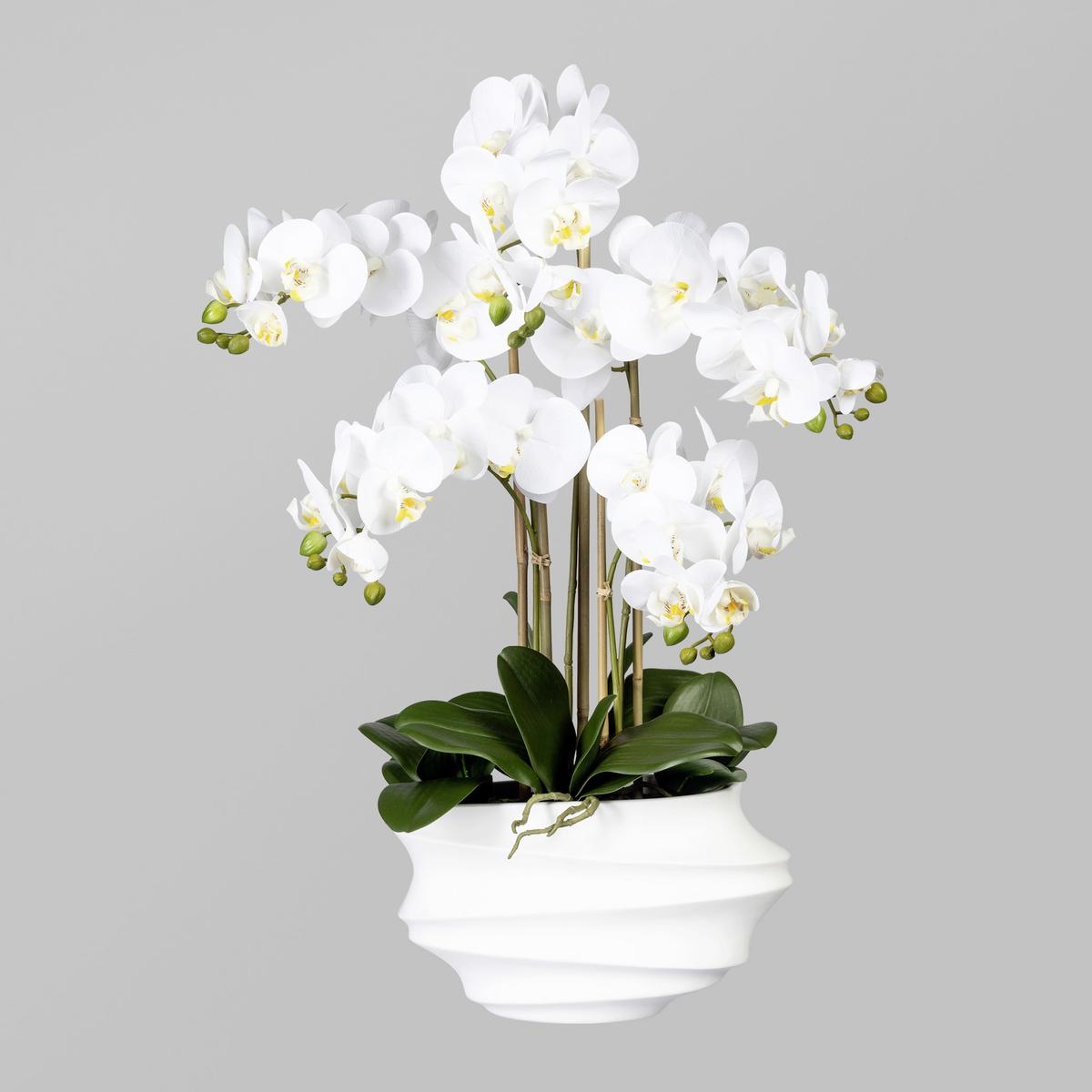 Kunstpflanze Orchidee Weiß H: 75 cm mit Topf - Weiß/Braun, Trend, Kunststoff (75cm) - P & B