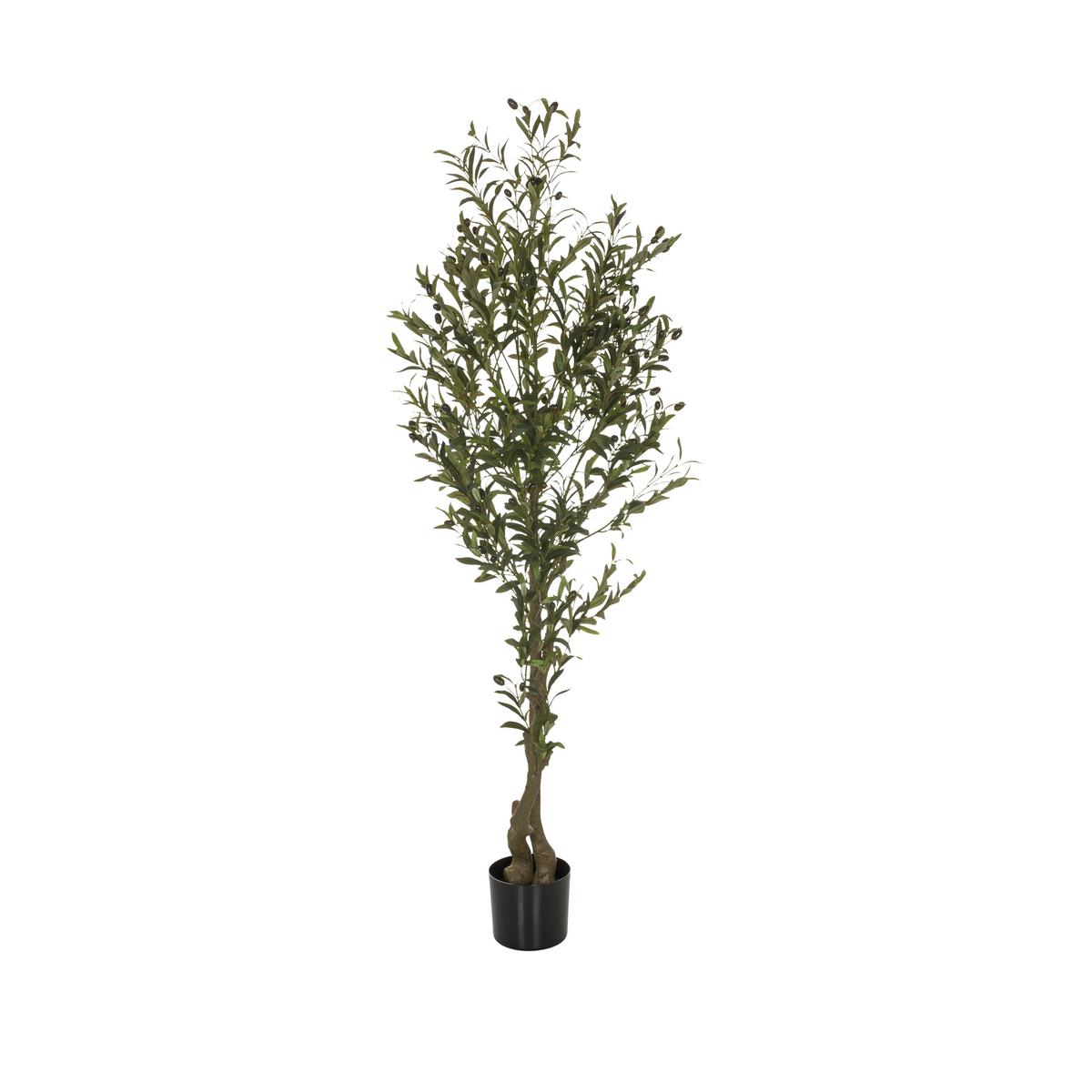 Kunstpflanze Olive I - Schwarz/Braun, Basics, Kunststoff (50/172/50cm) - MID.YOU