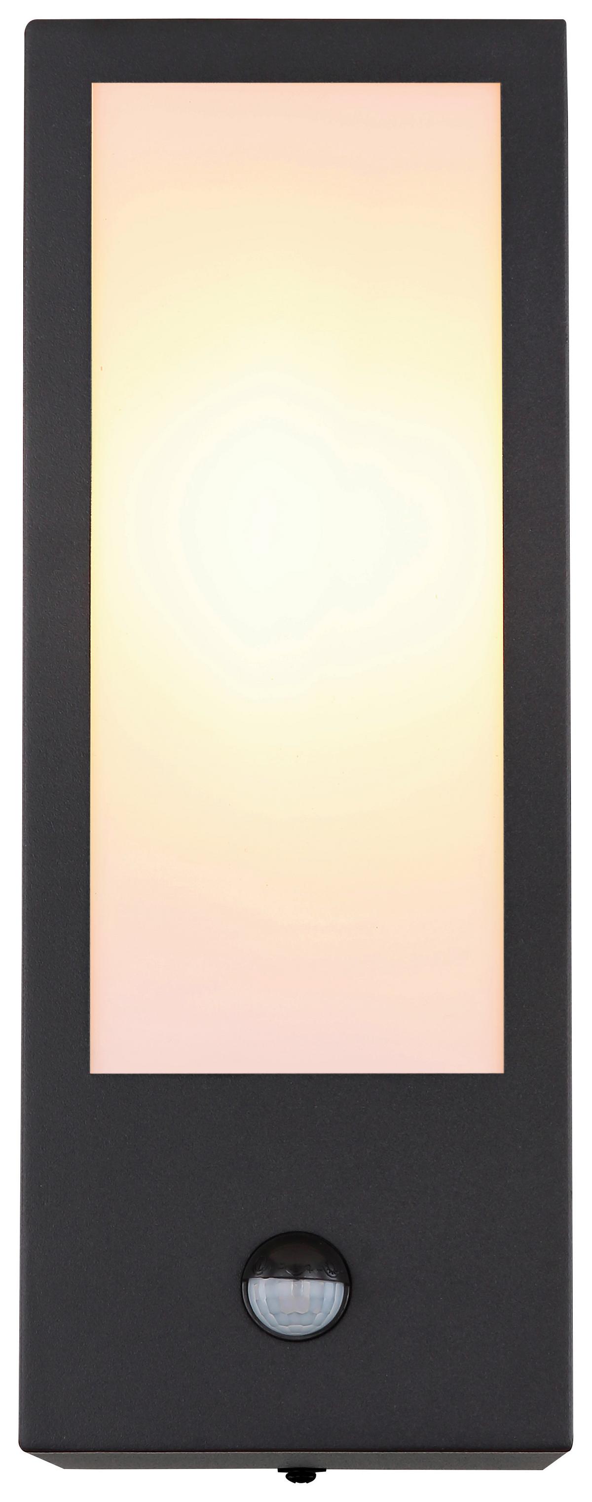 Außenleuchte Gundula 60 Watt Wandmontage - Opal/Schwarz, Basics, Kunststoff/Metall (12/32cm) - Globo