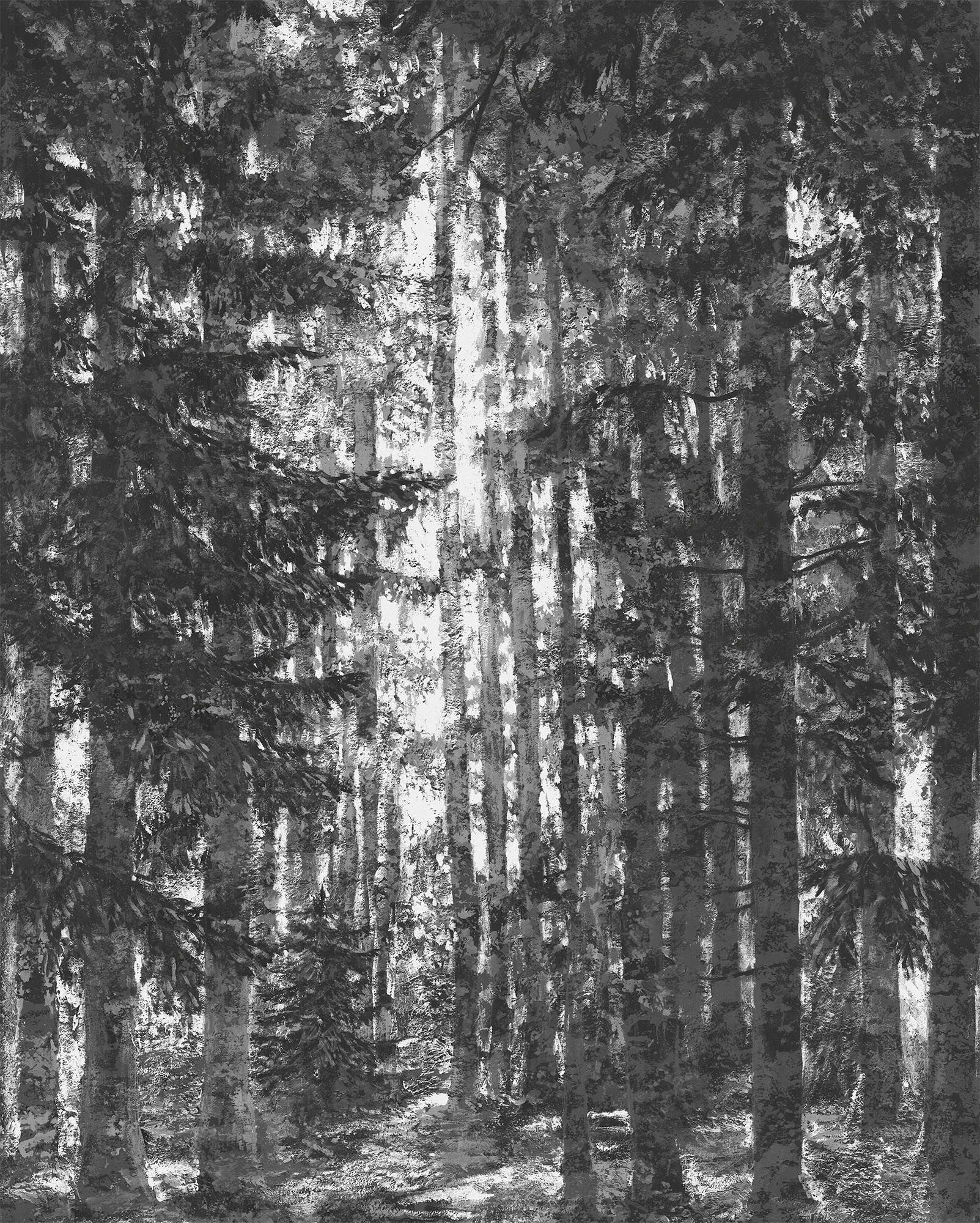 Vliestapete Lustres Lapland - Schwarz/Weiß, Basics (200/250cm) - Komar