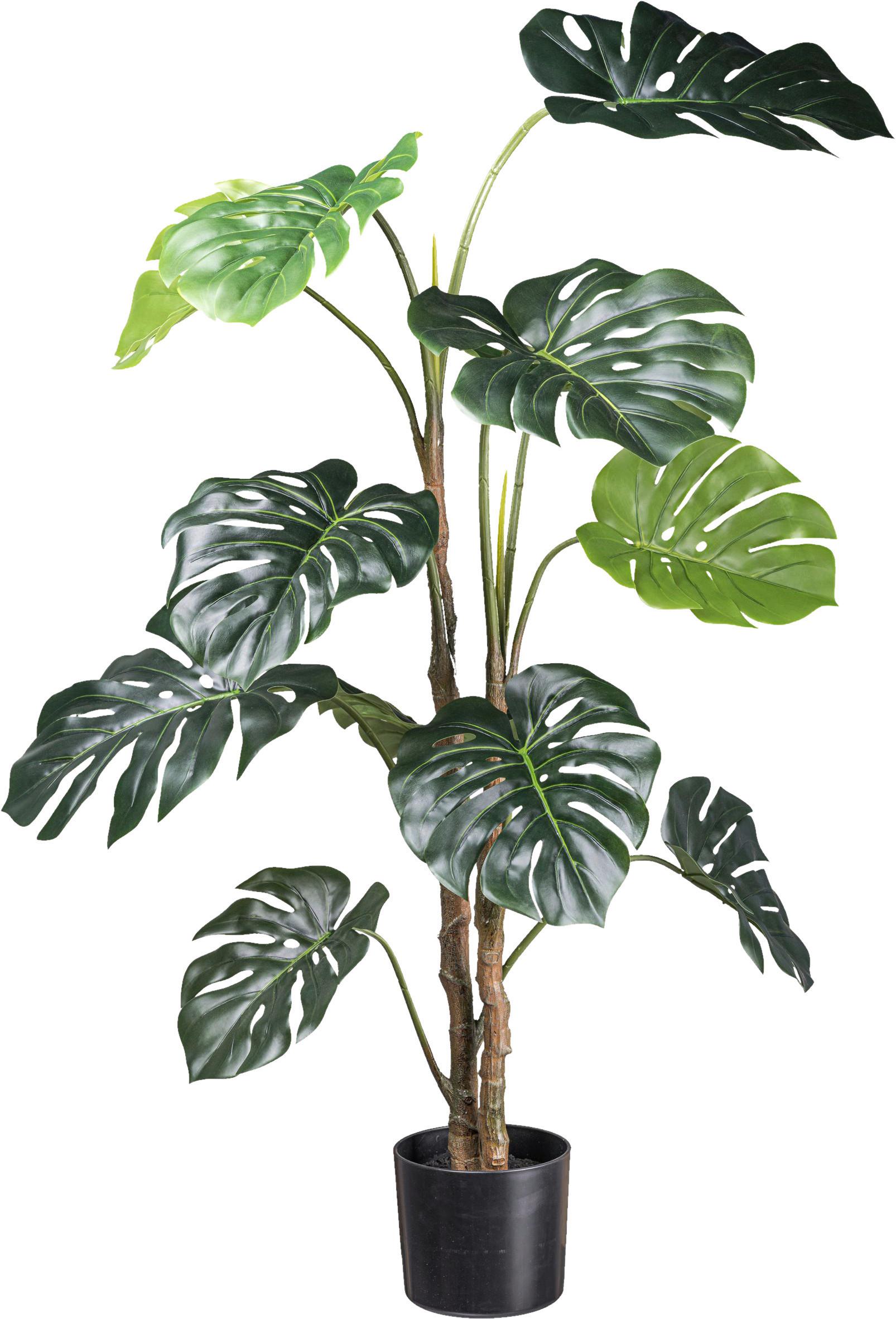 Kunstpflanze Split Philodendron - Schwarz/Braun, Design, Kunststoff (140cm) - P & B
