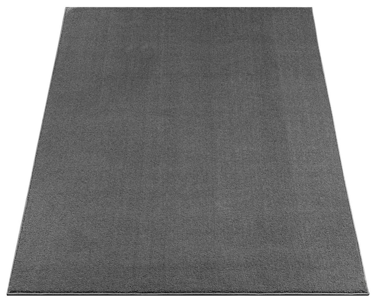 TKANÝ KOBEREC Susi, 100/150cm, antracitová - antracitová, Konvenční, textil (100/150cm) - Based