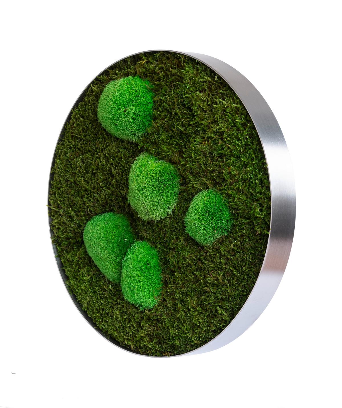 Moosbild Grün D: 34 Cm - Grün, Basics, Naturmaterialien/Metall (34/6cm)