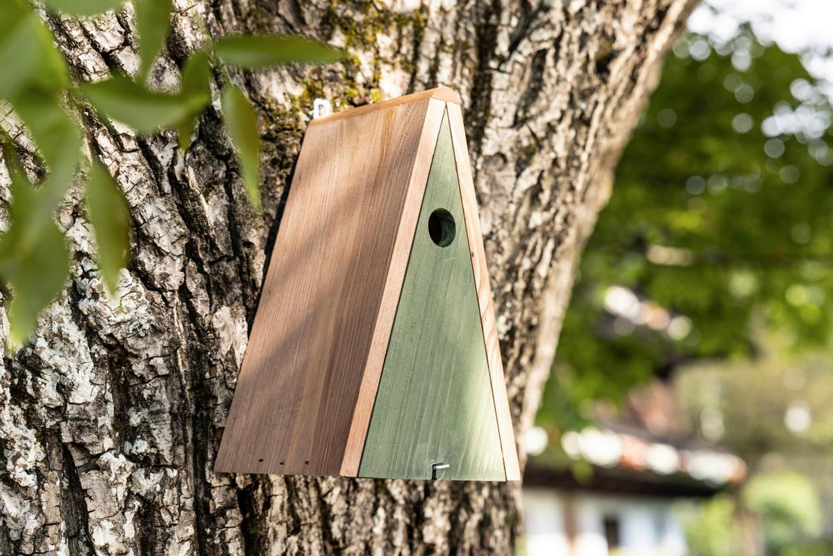 Nistkasten Delta, Birke BxHxT: 18x28x14 cm - Birkefarben, Basics, Holz (18/28/14cm)