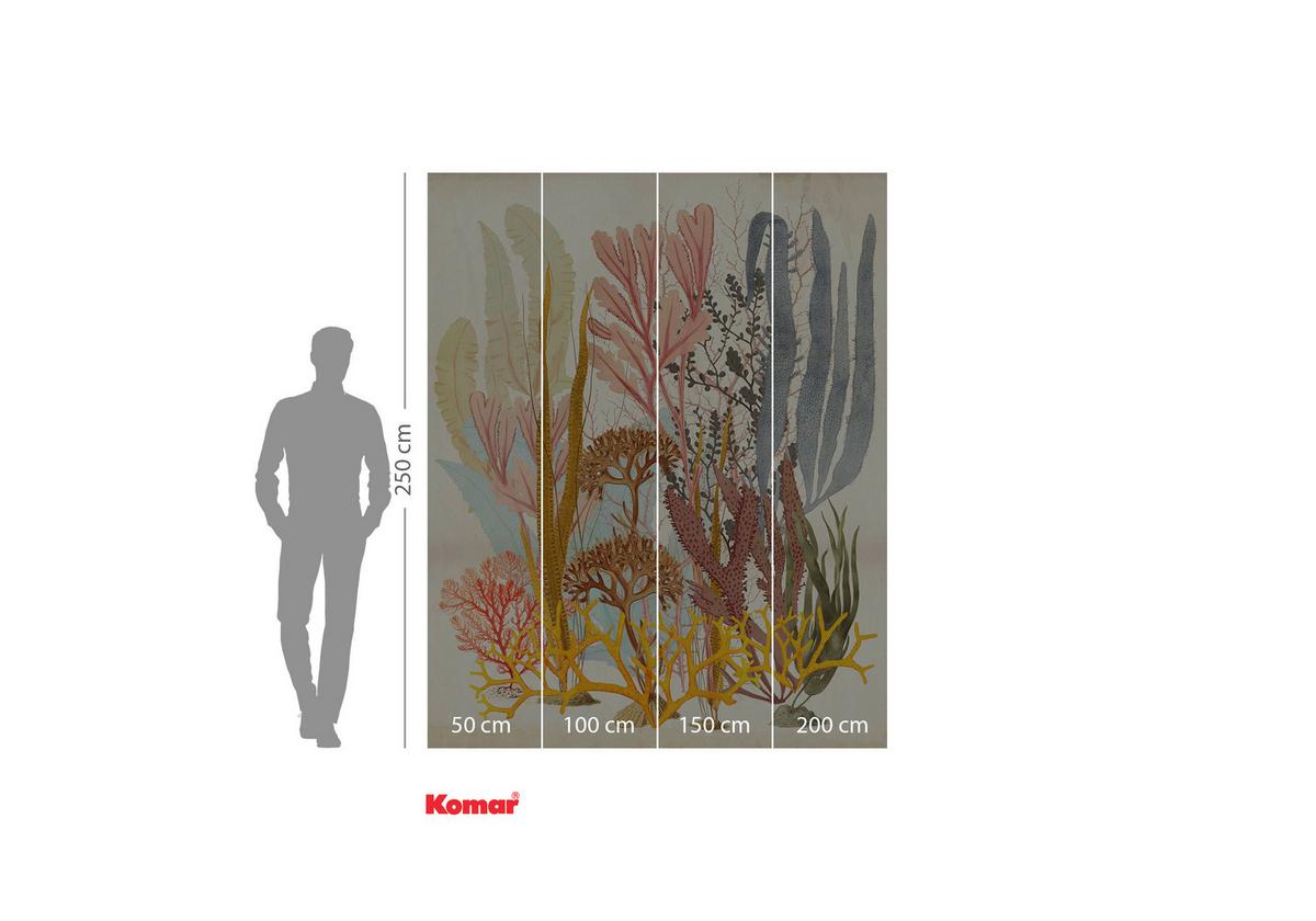 Vliestapete Catchy Corals - Multicolor, Basics (200/250cm) - Komar