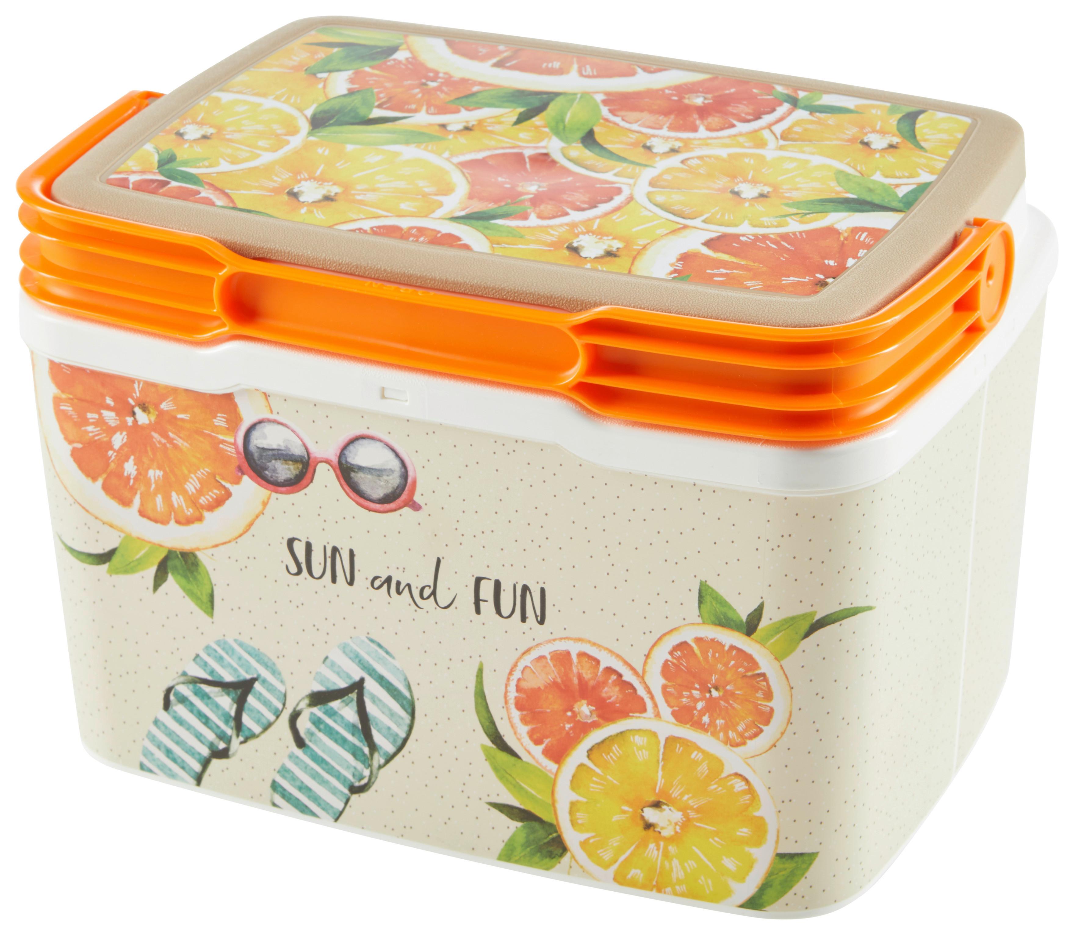 Kühlbox Erika - Multicolor, KONVENTIONELL, Kunststoff (28,5/21,5/19cm) - Luca Bessoni