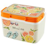 Kühlbox Erika - Multicolor, KONVENTIONELL, Kunststoff (28,5/21,5/19cm) - Luca Bessoni