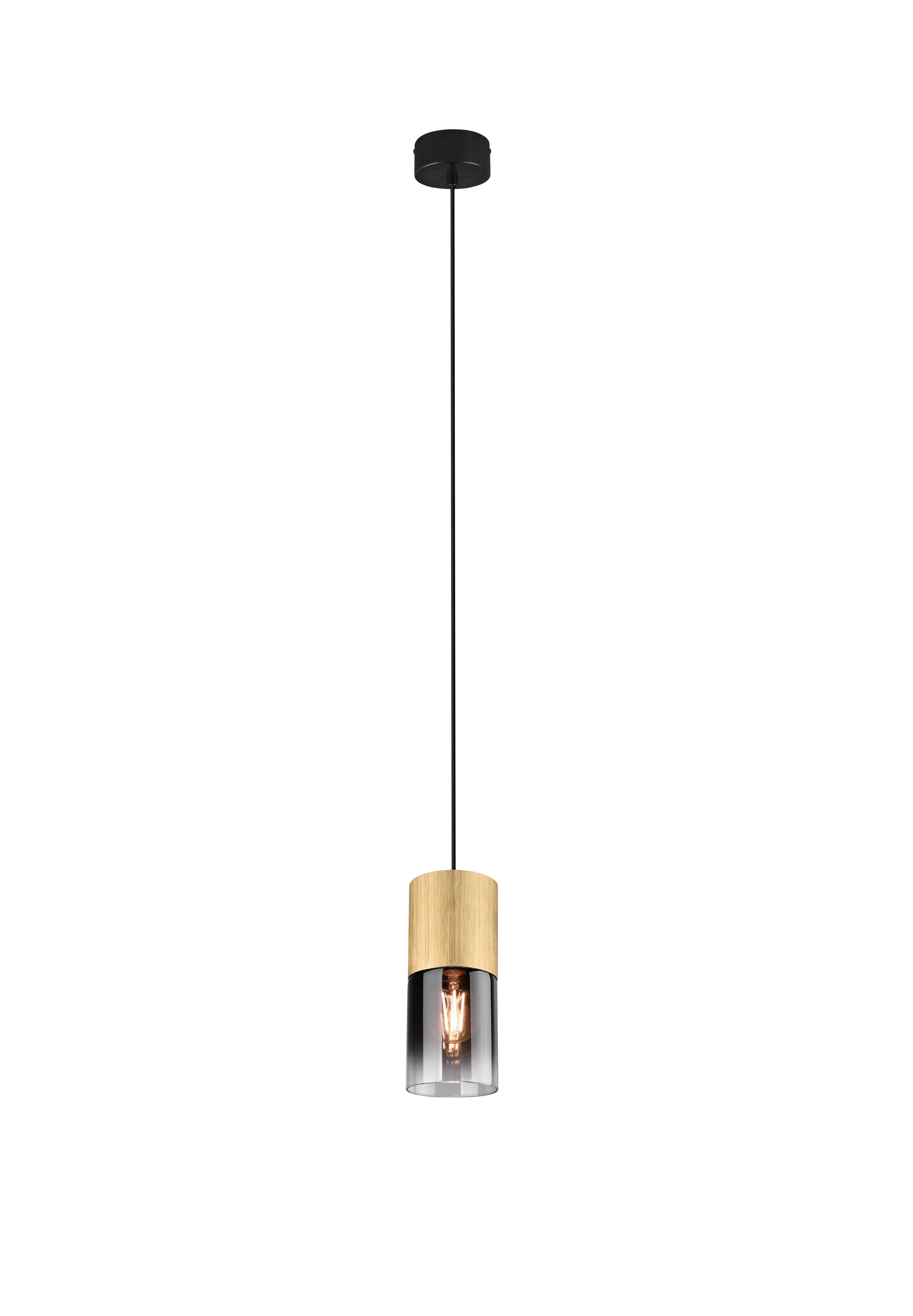 Hängeleuchte 310600154 Robin - Anthrazit/Messingfarben, Design, Glas/Metall (10/150cm) - Trio Leuchten