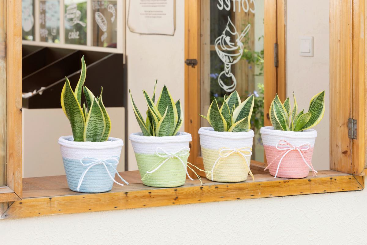 Pflanztopf Enrico - Blau/Pink, KONVENTIONELL, Papier/Kunststoff (18/17cm) - Ondega