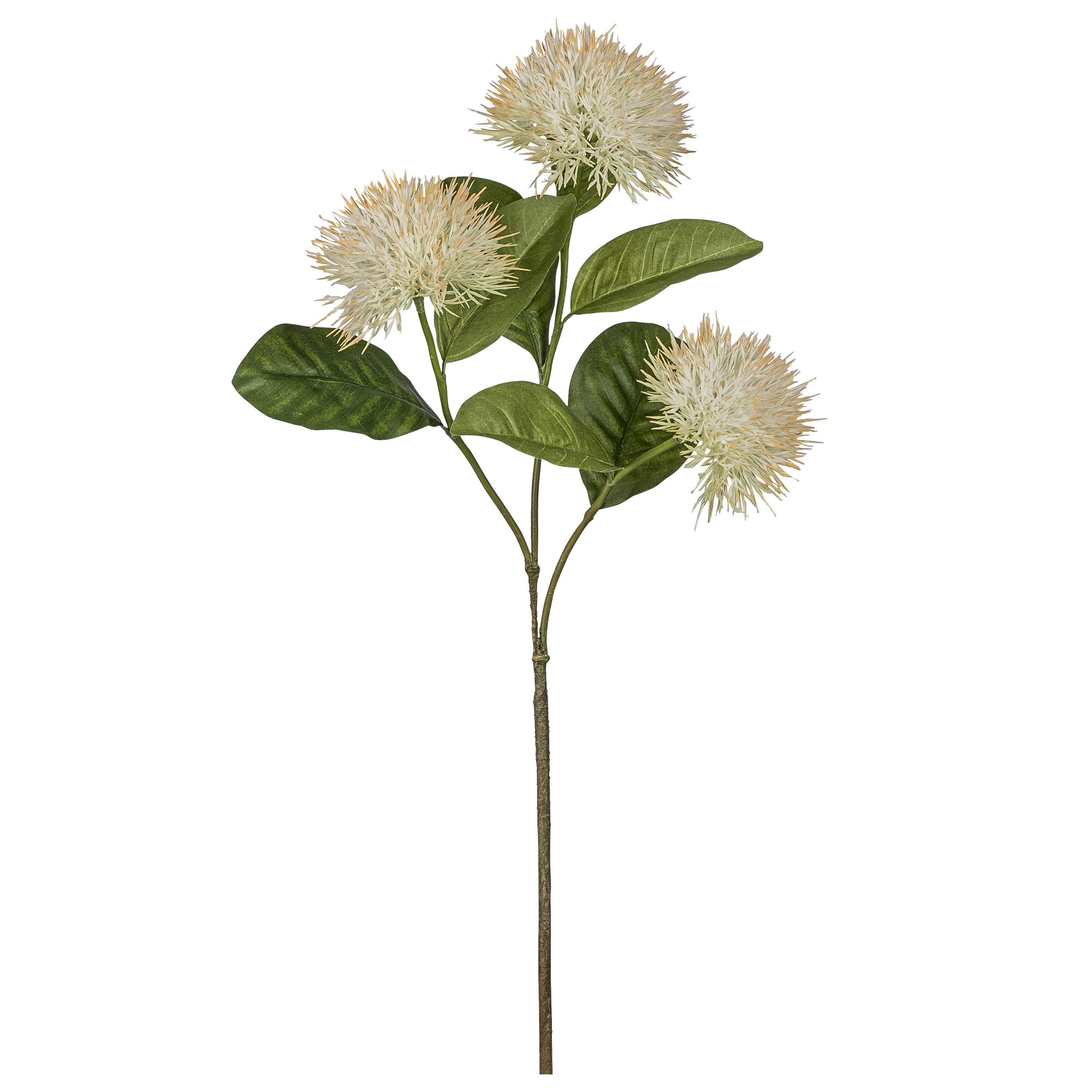Dekorační větvička IXORAZWEIG, V: 87 cm - bílá/zelená, Konvenční, plast (87cm) - Mömax