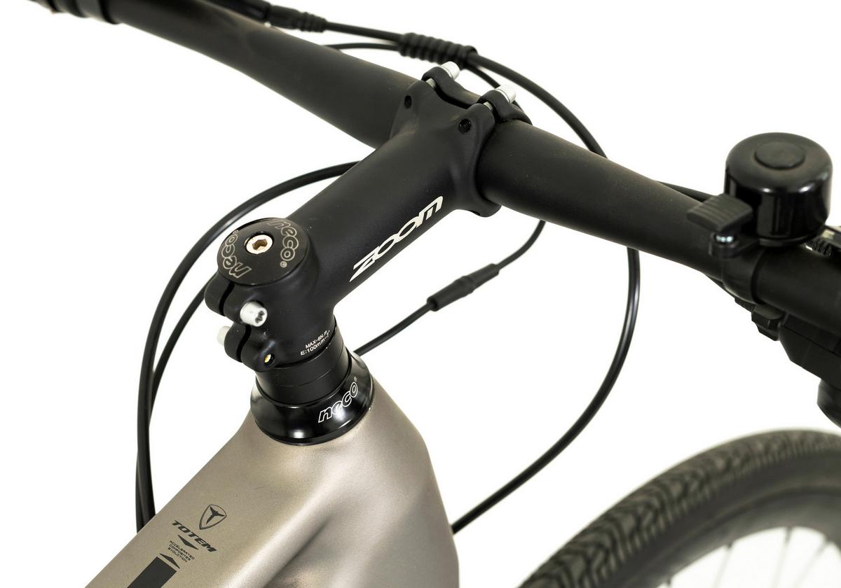Elektrofahrrad Totem Urban Platin - Hellgrau, Basics, Metall (180/70/100cm)
