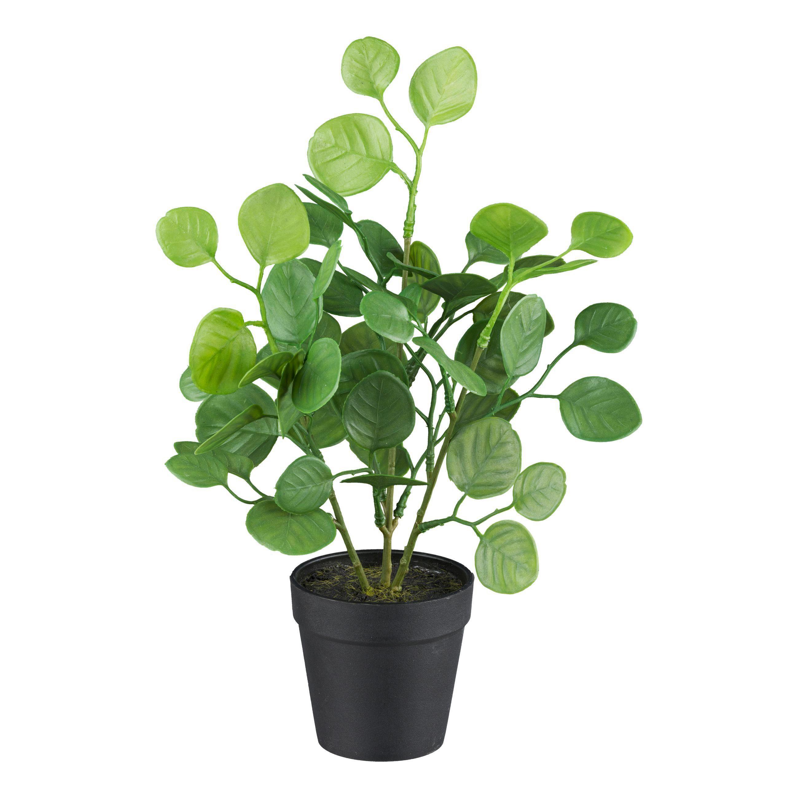 Kunstpflanze Eukalyptus - Basics (33cm)