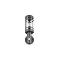 Außenwandleuchte R21719142 Paloma - Transparent/Anthrazit, Design, Kunststoff/Metall (34,5/11/16,5cm)