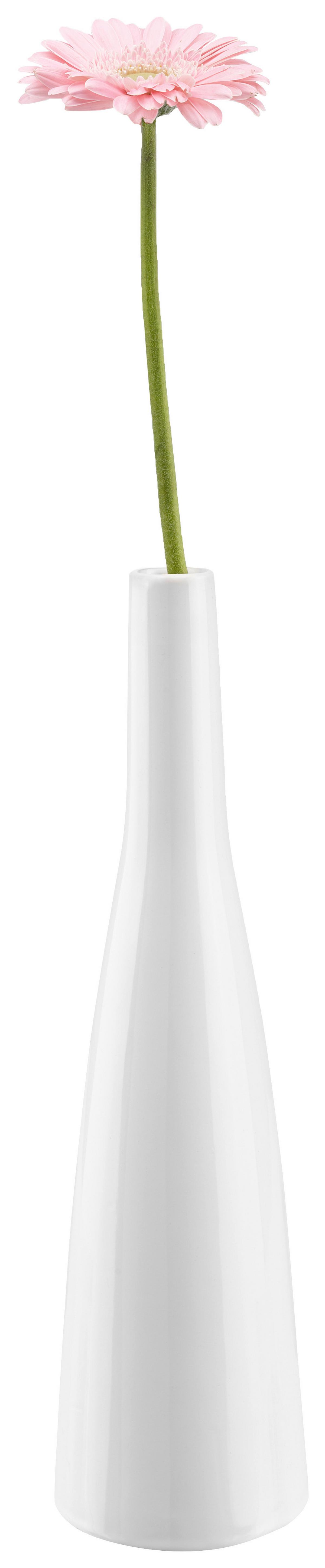 VÁZA PLANCIO - bílá, Moderní, keramika (8,5/33cm) - Modern Living