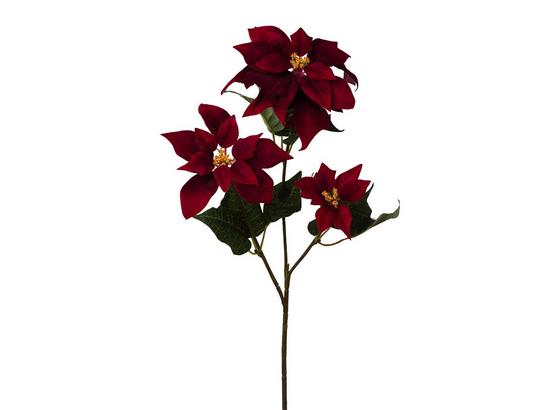 Dekoračná Vetvička Blume I - hnedá/bordová, Basics, plast (67cm) Dekoračná Vetvička Blume I - hnedá/bordová, Basics, plast (67cm)