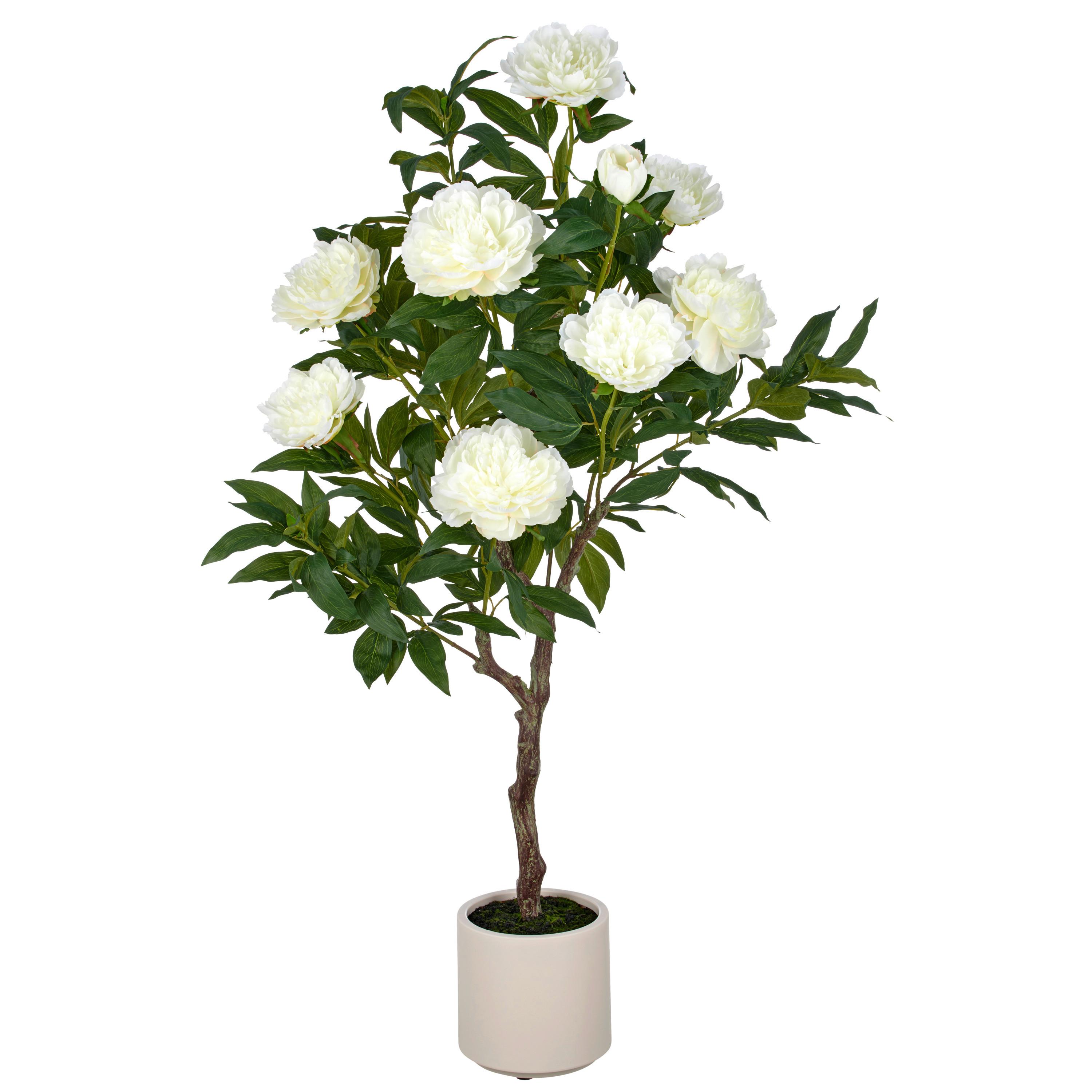 Kunstpflanze Creme Grün B: 22 cm - Creme/Grün, Basics, Kunststoff (22/122/22cm)
