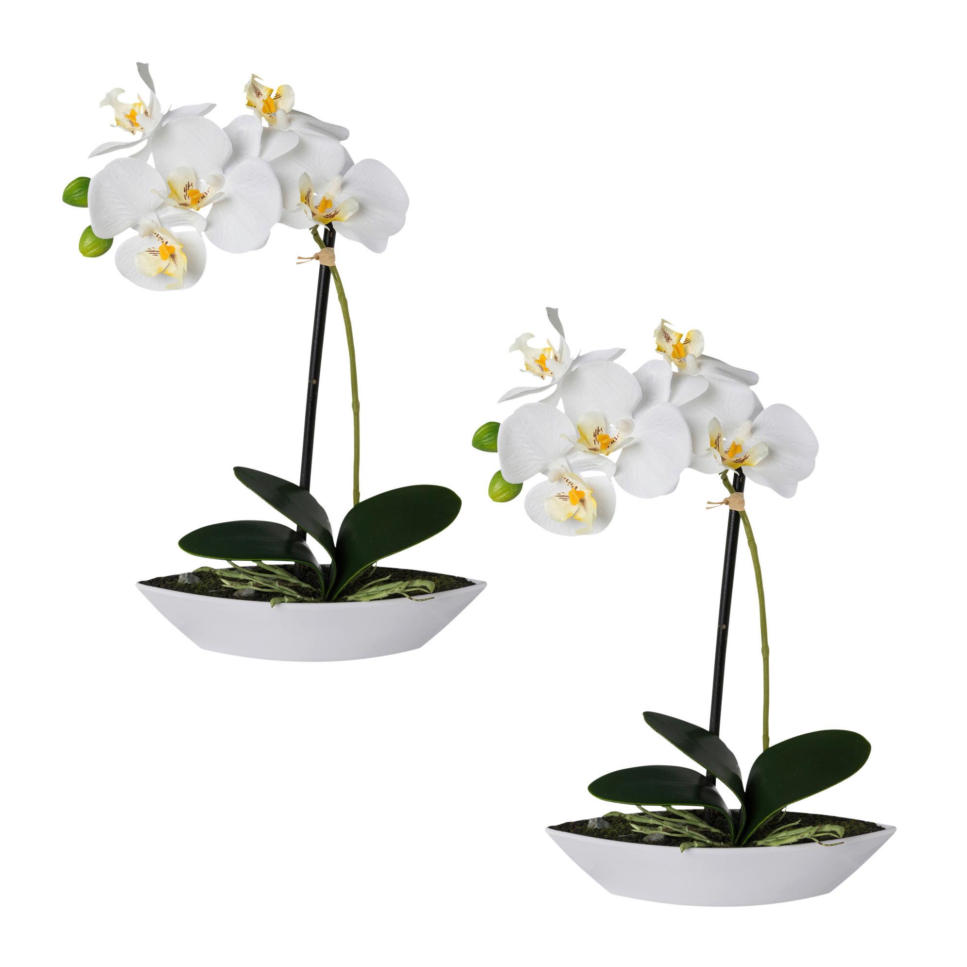 Kunstpflanze Orchideen Weiß, Topf: Weiß, H: 30 cm - Weiß/Grün, Design, Keramik/Kunststoff (30cm)