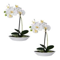 Kunstpflanze Orchideen Weiß, Topf: Weiß, H: 30 cm - Weiß/Grün, Design, Keramik/Kunststoff (30cm)