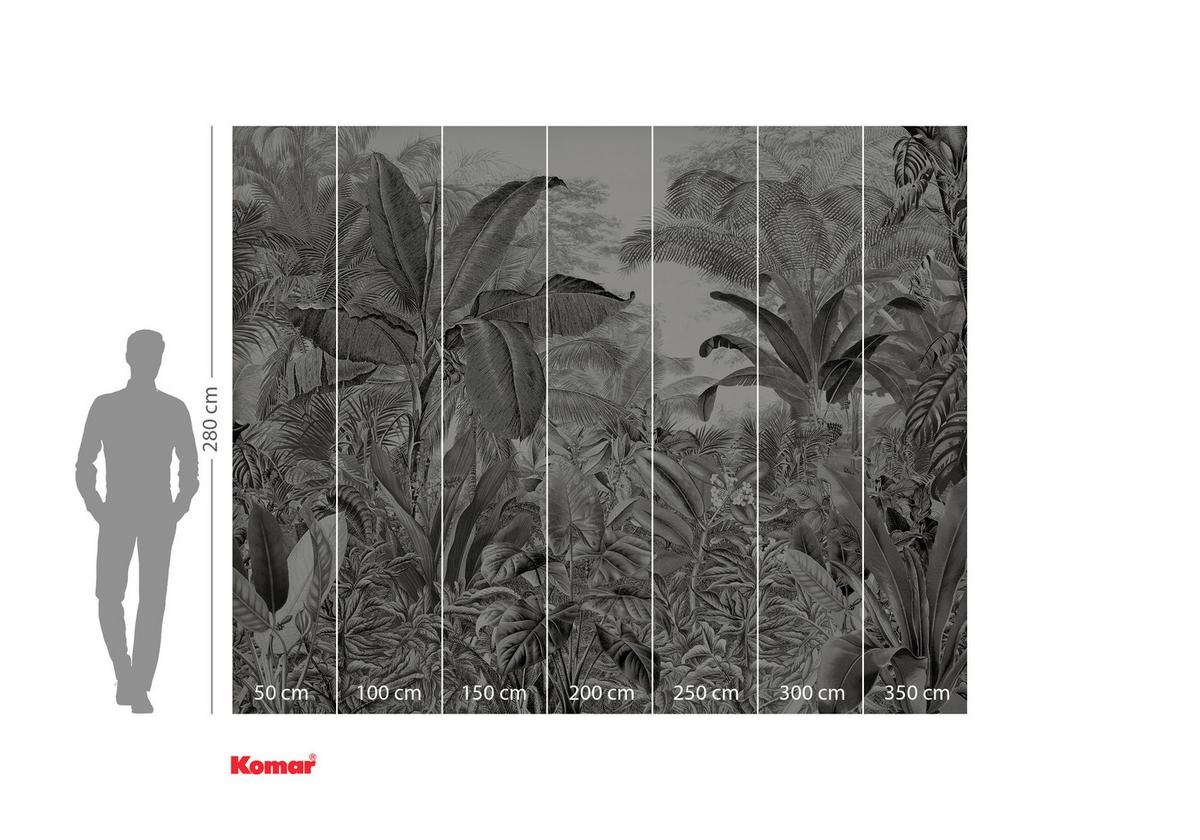 Fototapete Roraima - Schwarz/Weiß, Trend, Papier (300/280cm)