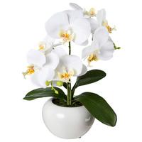 Kunstpflanze Orchideen Weiß, Inkl. Topf, H: 35 Cm - Weiß/Grün, Design, Keramik/Kunststoff (35cm) - P & B