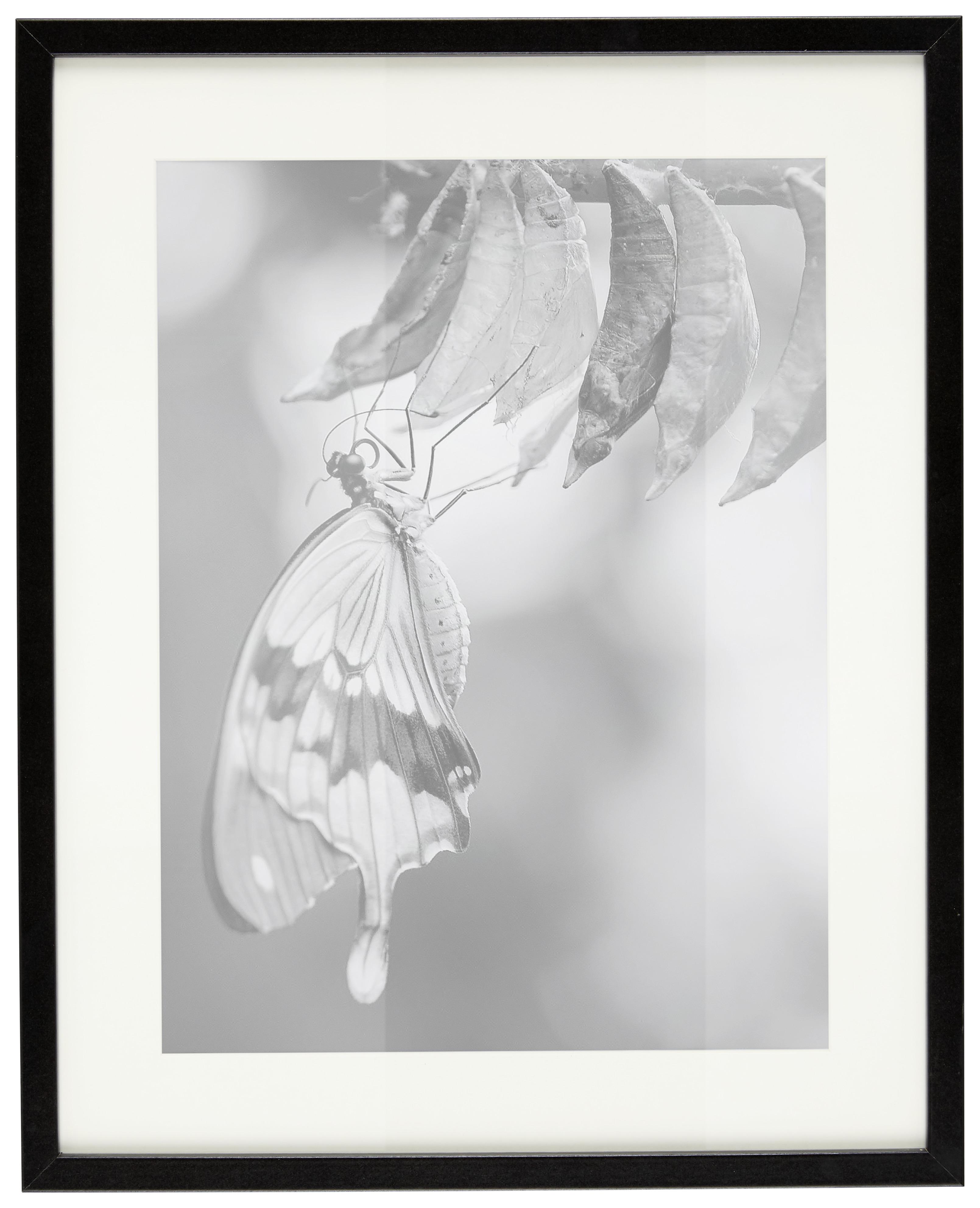 Rám na obraz Gitta 40 x 50 cm - černá, Moderní, kompozitní dřevo/plast (40/50/3,6cm) - Modern Living