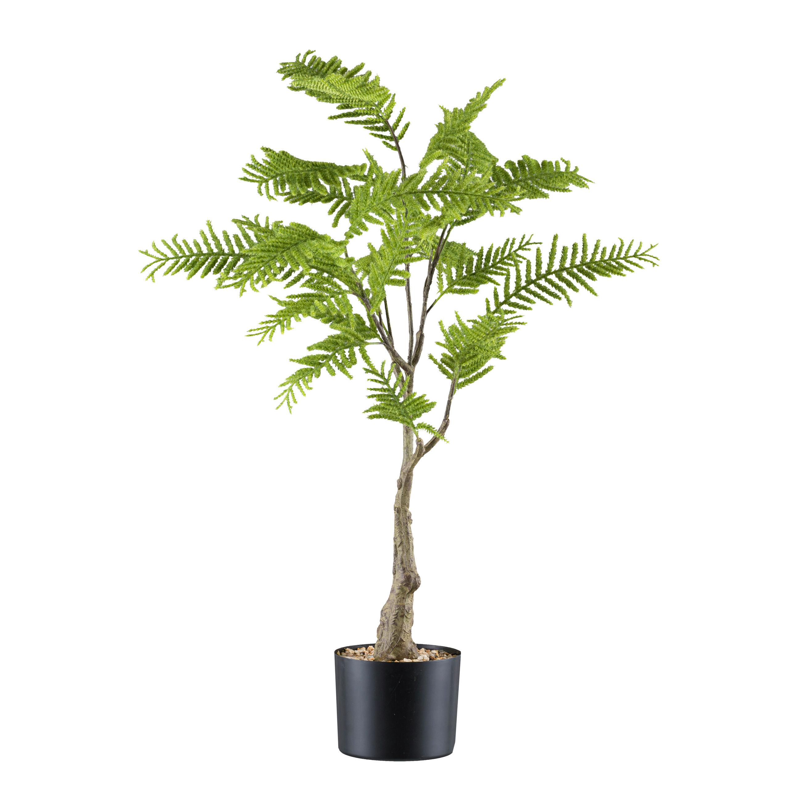 Kunstpflanze Farn H: 90 cm - Schwarz/Braun, Design, Kunststoff (90cm) - P & B