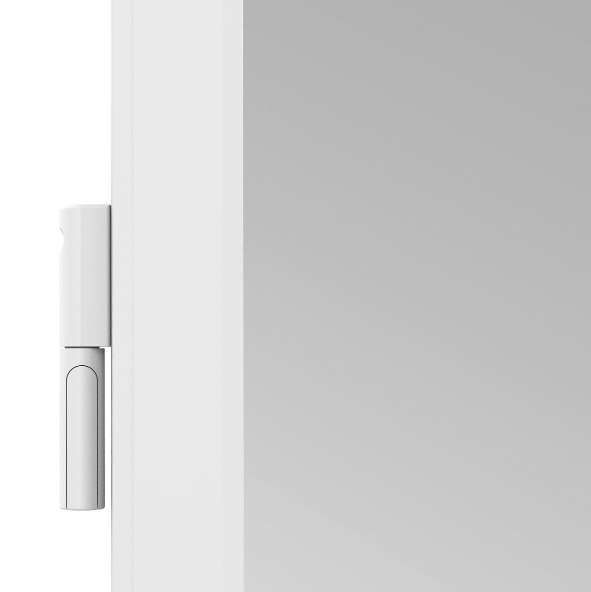 Fliegengitter Tür 100x210 cm Weiß - Weiß, Basics, Metall (100/210cm)