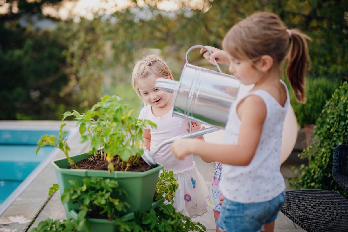 Pflanztopf Paul Potato Starter Dunkelgrün - Grün, Basics, Kunststoff (44/65/44cm)