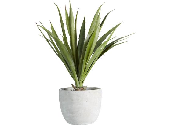 Umelá Rastlina Agave I - zelená, Konvenčný, plast (38 cmcm) - Mömax modern living Umelá Rastlina Agave I - zelená, Konvenčný, plast (38 cmcm) - Mömax modern living
