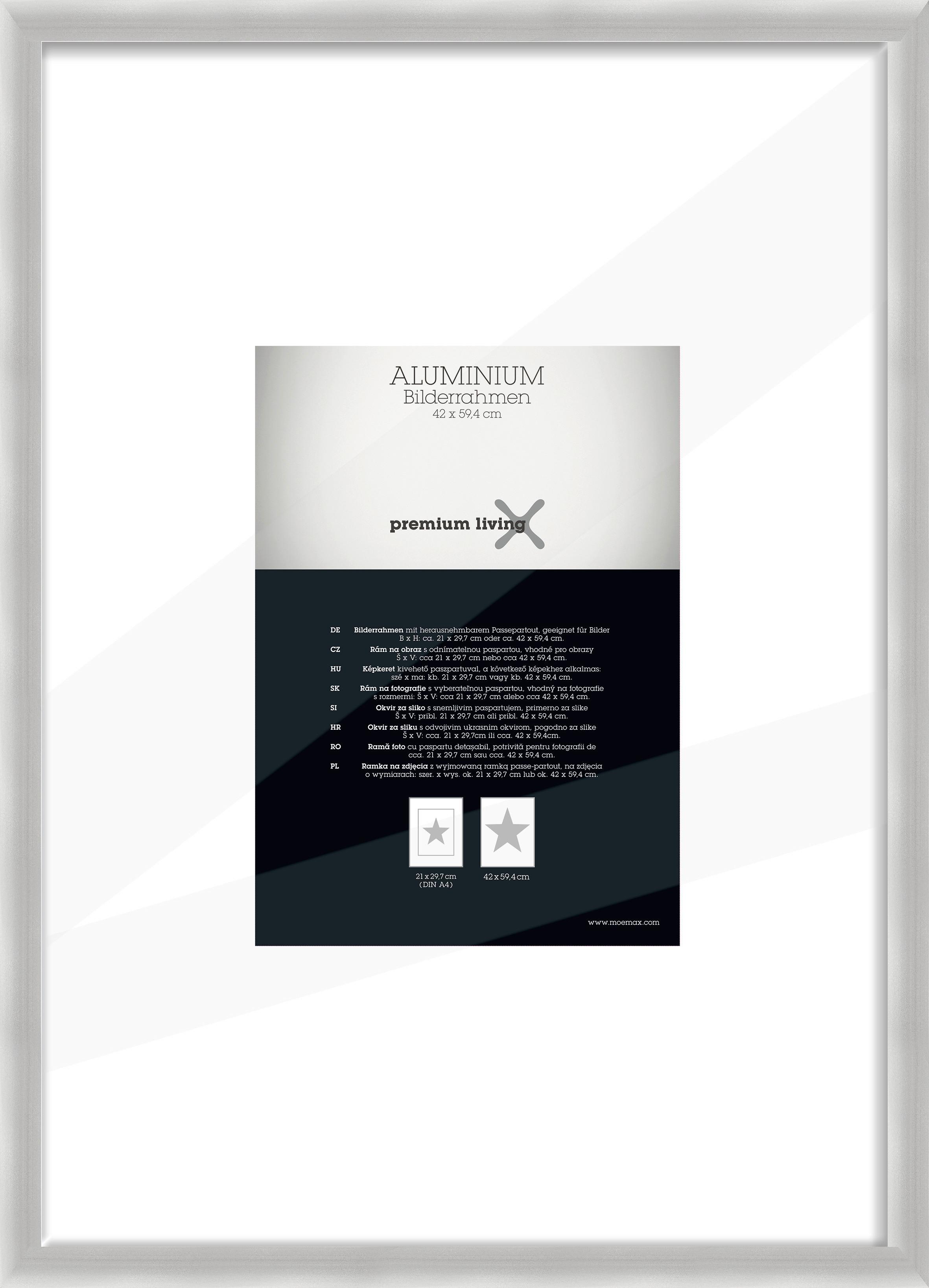 Rám na obrazy 45,1/62,5 cm - barvy stříbra, Basics, kov (45,1/62,5/2.2cm) - Premium Living