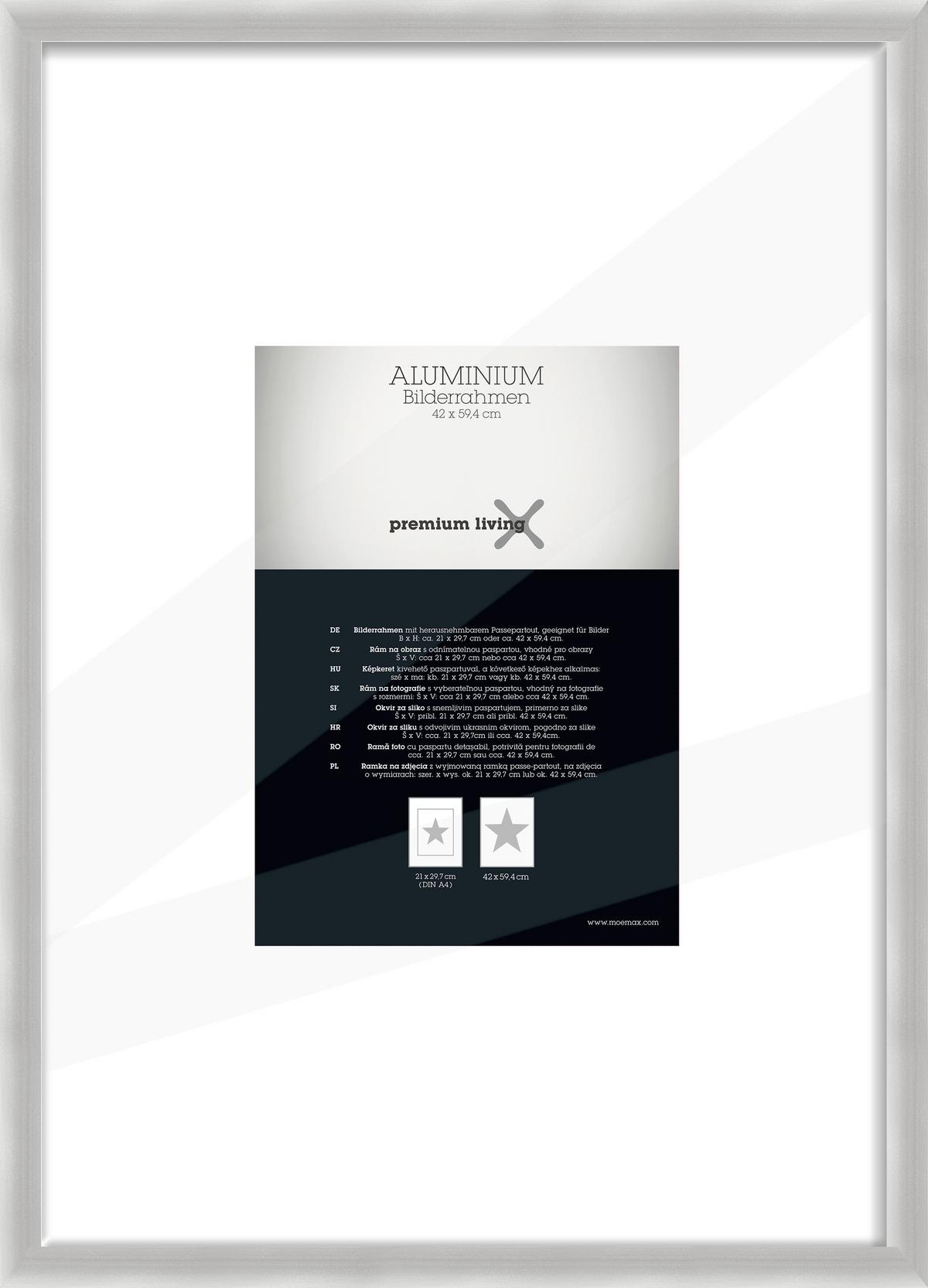 Rám na obrazy 45,1/62,5 cm - barvy stříbra, Basics, kov (45,1/62,5/2.2cm) - Premium Living