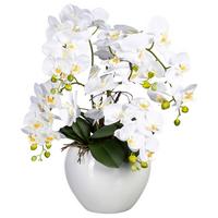 Kunstpflanze Orchideen Grün/Weiß, 56 cm - Weiß/Grün, Design, Keramik/Kunststoff (56cm) - P & B