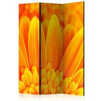 Paravent Gelb Orange B: 135 Cm - Gelb/Orange, Basics, Holz/Textil (135/172/3cm) - artgeist