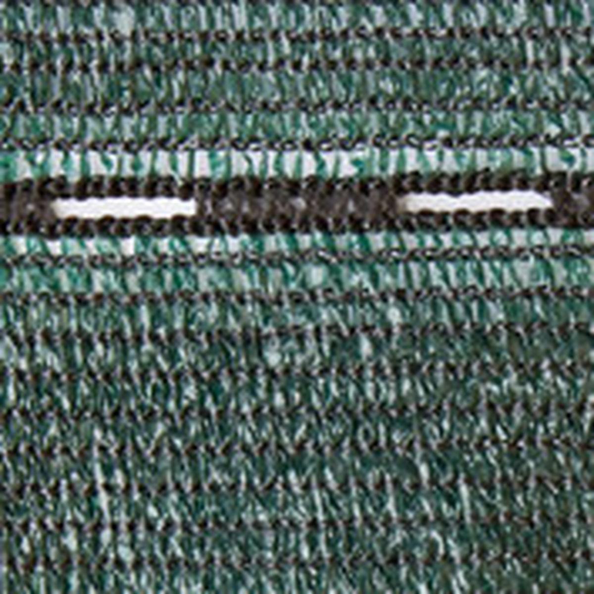 Sichtschutz Screenex Eco Kunststoff Grün - Grün, Basics, Kunststoff (500/100cm)