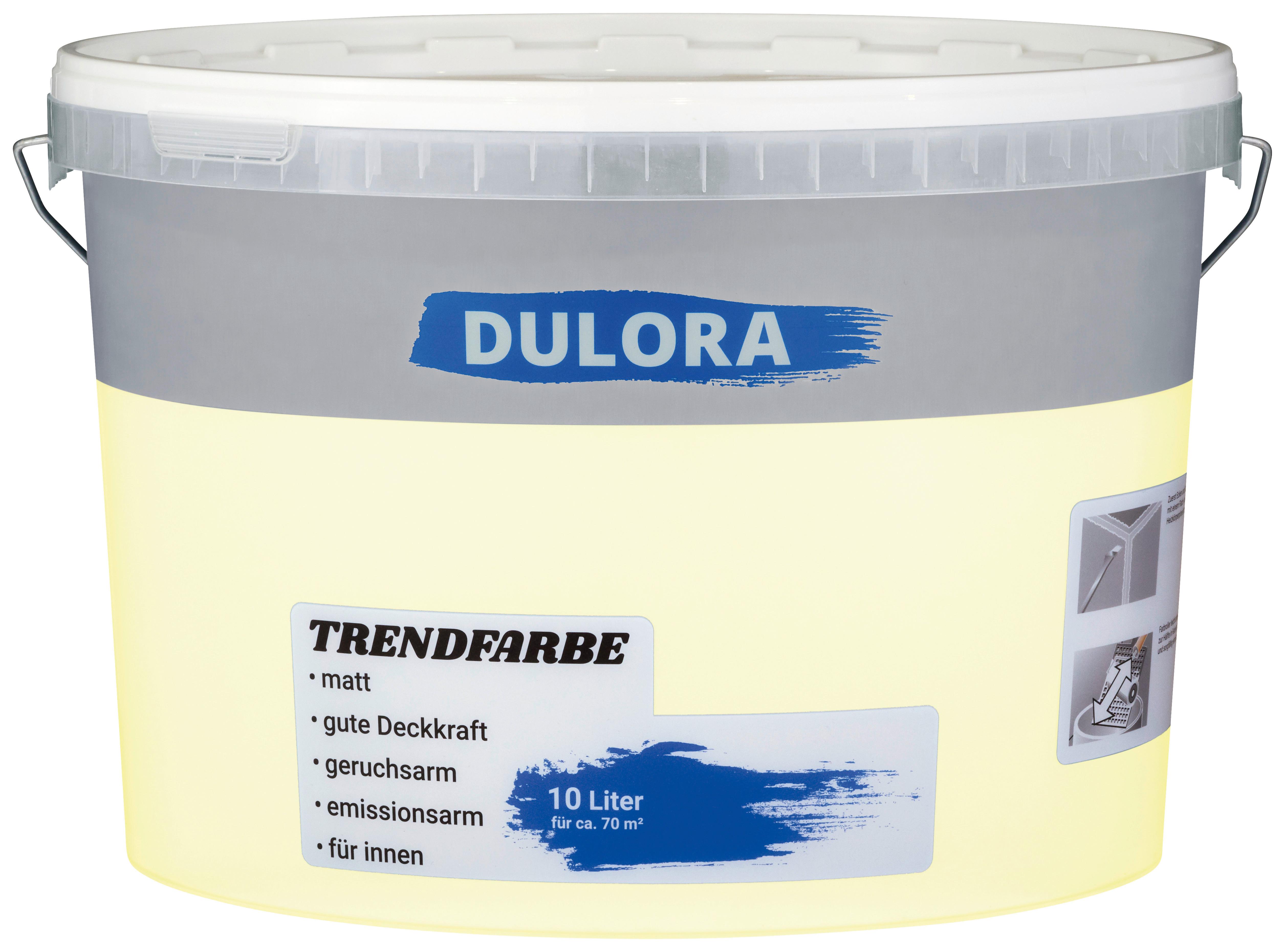 Wandfarbe Vanilleblüte 10 L für 70 M2 Dispersionsfarbe